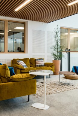 Apsi Haulotte WEB (12)