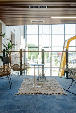 Apsi Haulotte WEB (13)