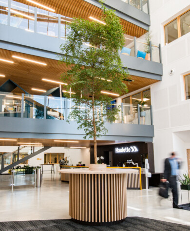 Apsi Haulotte WEB (16)