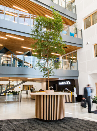 Apsi Haulotte WEB (16)