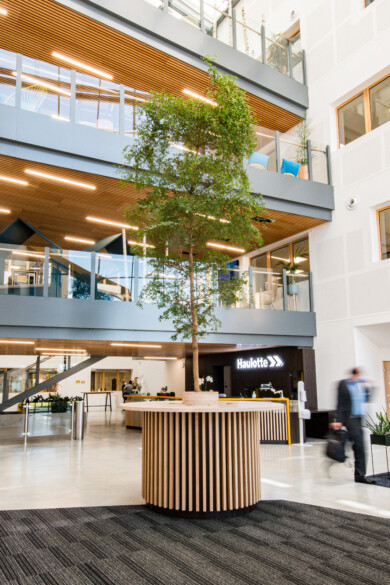 Apsi Haulotte WEB (16)