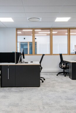 Apsi Haulotte WEB (4)