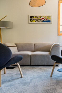 Apsi Haulotte WEB (9)