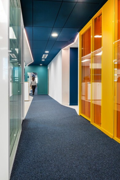 Apsi X Polyexpert (1)