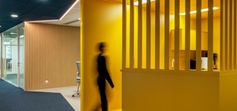 Apsi X Polyexpert (10)