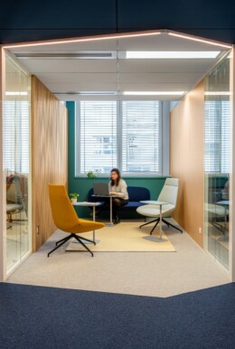 Apsi X Polyexpert (4)