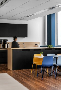 Apsi X Polyexpert (5)