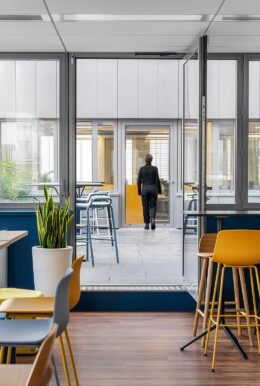 Apsi X Polyexpert (6)