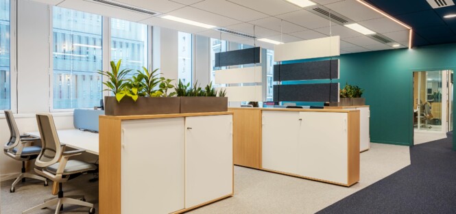 Apsi X Polyexpert (8)