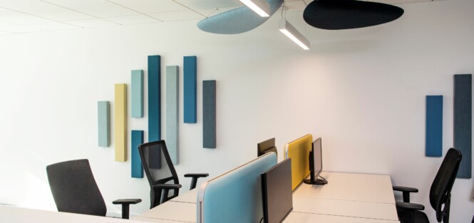 APSI IMPLID Archamp Janv23 30 ©G Perret