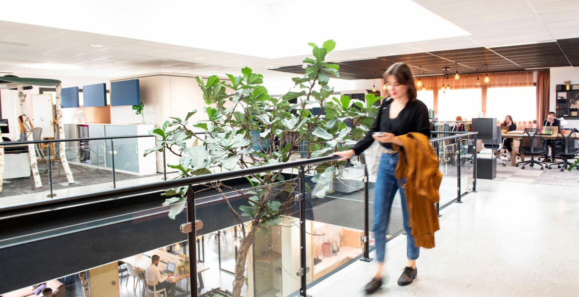 APSI Rillieux 035R WEB