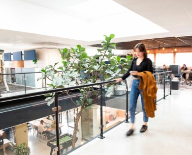 APSI Rillieux 035R WEB