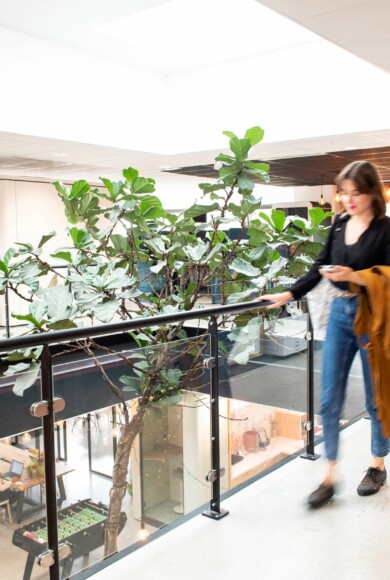 APSI Rillieux 035R WEB