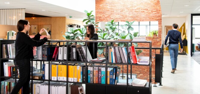 APSI Rillieux 037 WEB