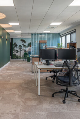 Apsi SCHLEICH (12B) WEB