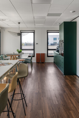 Apsi SCHLEICH (4) WEB