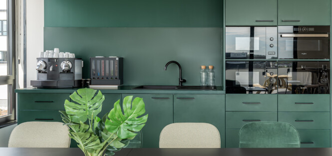 Apsi SCHLEICH (6) WEB