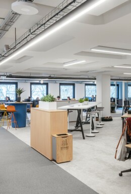 Apsi silkhom WEB (14)