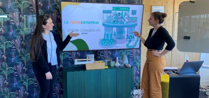 Atelier permaentreprise n2 WEB