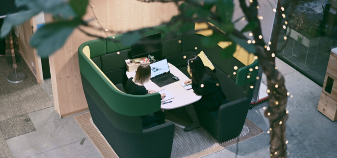 Apsi Rillieux – 2020