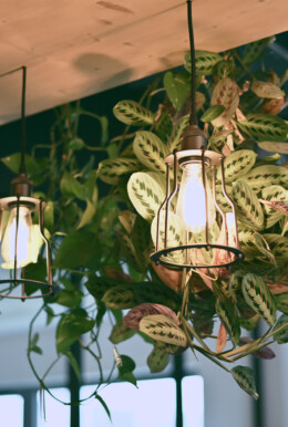 Apsi Rillieux – 2020