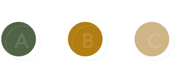 ECOSCORE 2500x1210_Plan de travail 1