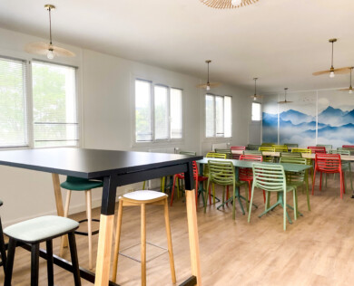 Apsi x Mylight150 Meyzieu (4)