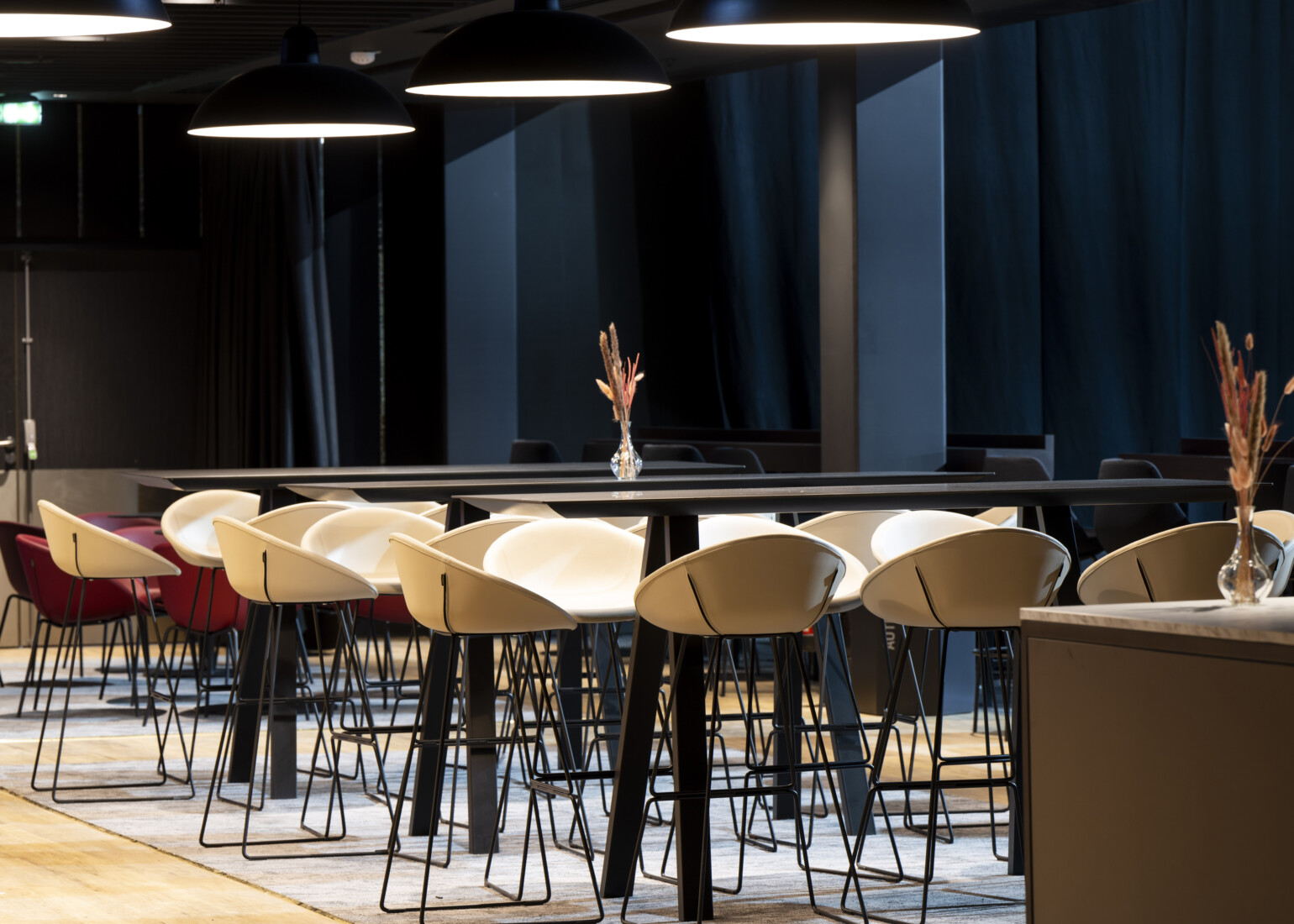 APSI LDLC Arena Nov23 015©G Perret