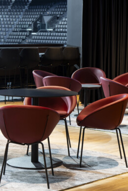 APSI LDLC Arena Nov23 024©G Perret