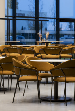 APSI LDLC Arena Nov23 082©G Perret