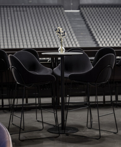 APSI LDLC Arena salon VVIP