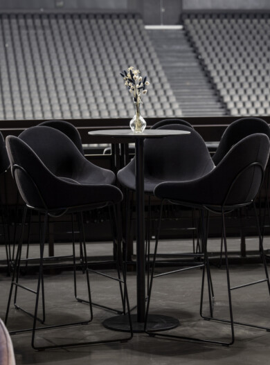 APSI LDLC Arena salon VVIP