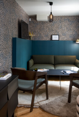 APSI BARNES 333©G Perret