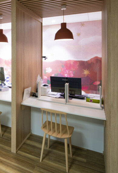 APSI Institut Rhonalpin 011©G Perret