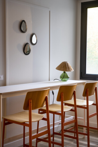 APSI Institut Rhonalpin 020©G Perret