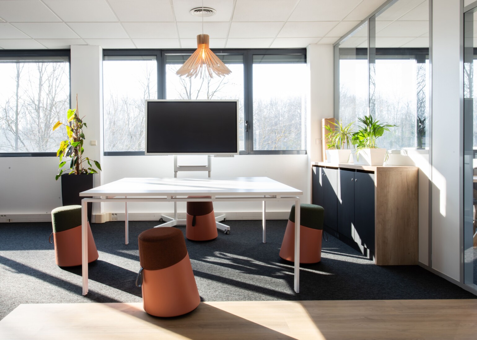 cecile cayon-apsi esv-lyon-BD (12)