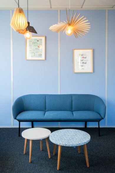 cecile cayon-apsi esv-lyon-BD (15)