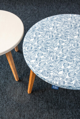 cecile cayon-apsi esv-lyon-BD (16)