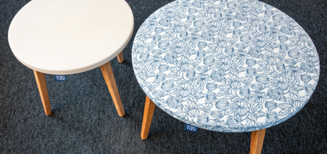 cecile cayon-apsi esv-lyon-BD (16)