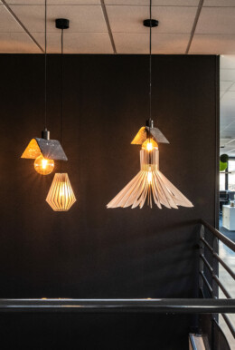 cecile cayon-apsi esv-lyon-BD (18)