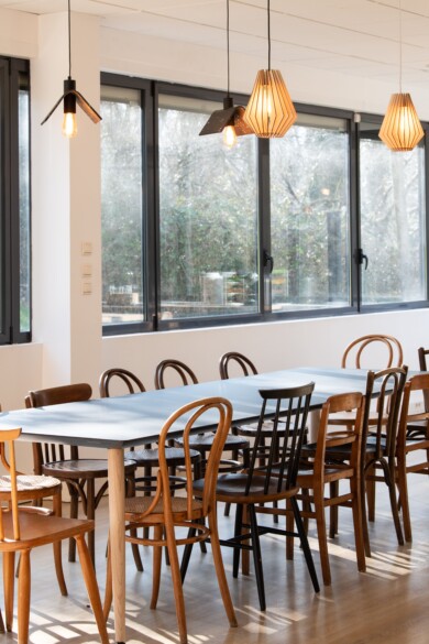 cecile cayon-apsi esv-lyon-BD (2)