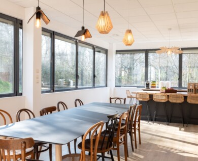 cecile cayon-apsi esv-lyon-BD (4)