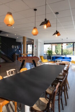 cecile cayon-apsi esv-lyon-BD (8)