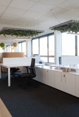 cecile cayon-apsi esv-lyon-BD (9)