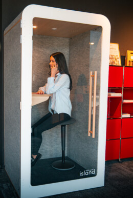 Apsi 2 Savoie box acoustique